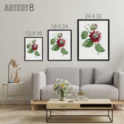 "Artery8 Passion Flower Illustration Redoute Black Framed Canvas Wall Art in White - Size: W12"" x H16""" - thumbnail 4