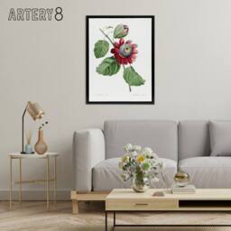 "Artery8 Passion Flower Illustration Redoute Black Framed Canvas Wall Art in White - Size: W12"" x H16""" - thumbnail 3