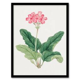 Artery8 Vintage Japan Botanical Framed Wall Art Print Sakura Flower in Pink - Size: A4 - thumbnail 1