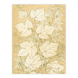 Artery8 Owen Jones Framed Wall Art Leaves From Nature No 2 Vintage Botanical in Beige - Size: A4 - thumbnail 3