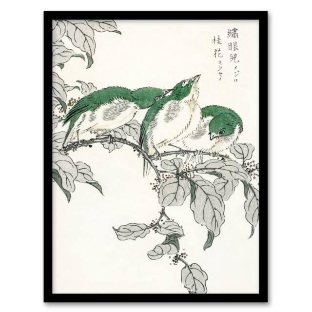 "Artery8 White Eye & Osmanthus Japanese Japanese Framed Wall Art Print Kashu - Size: W12"" x H16""" - image 1