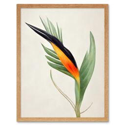 "Artery8 Wall Art Print Tropical Bird of Paradise Flower Gold Black Art Framed in Light Oak - Size: W12"" x H16""" - thumbnail 1