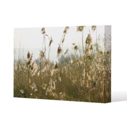 Benjamin Tate Design plumes Slimbridge (Canvas Print) / 127 x 101 x 4cm in Natural - Size: 127 x 101 x 4 cm - thumbnail 1