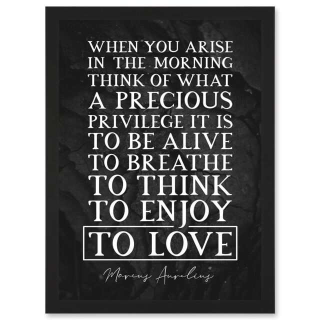 Artery8 Slate Inspiring Quote Marcus Aurelius Morning Precious Privilege To Be Alive Breathe Think Enjoy Love Inspiring Artwork Framed Wall Art Print - image 1