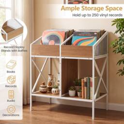 Costway 4-Grid Vinyl Record Storage Rack 2-Tier Display Metal Frame in Natural - thumbnail 8