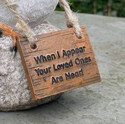 Animal Crackers Robin With When I Appear Love Ones Are Near Sign - thumbnail 2