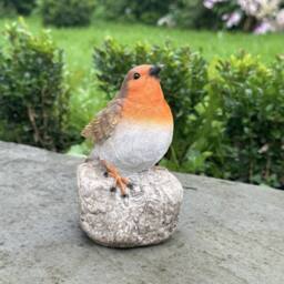 Animal Crackers Robin With When I Appear Love Ones Are Near Sign - thumbnail 4