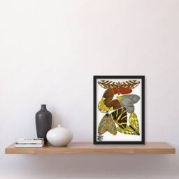 Artery8 Eugene Seguy Framed Wall Art Print Vintage Butterfly Illustration - Size: A4 - thumbnail 2