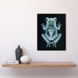 Artery8 Frog Teal Green Dark Luminescent Xray Effect Framed Art Print in Black - Size: A4 - thumbnail 4