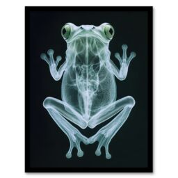 Artery8 Frog Teal Green Dark Luminescent Xray Effect Framed Art Print in Black - Size: A4 - thumbnail 1