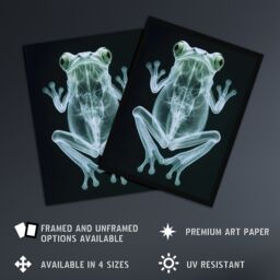 Artery8 Frog Teal Green Dark Luminescent Xray Effect Framed Art Print in Black - Size: A4 - thumbnail 2