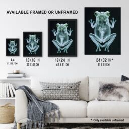Artery8 Frog Teal Green Dark Luminescent Xray Effect Framed Art Print in Black - Size: A4 - thumbnail 3