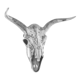 Orsina Zania Wall Mounted Skull in Silver - thumbnail 2
