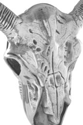 Orsina Zania Wall Mounted Skull in Silver - thumbnail 4
