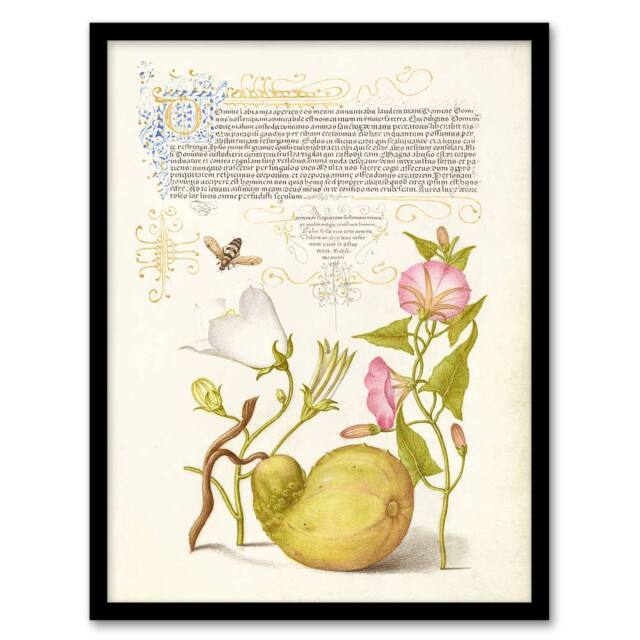 Artery8 Beetle Flowers & Gourd Calligraphy Framed Wall Art Print - Size: A4 - image 1