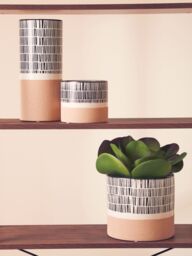 Orsina Small Striped Planter, Ceramic planter For Indoor Plants, Home Décor with Indoor flower pot for Living Room - thumbnail 2