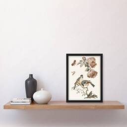 Artery8 Roses Butterfly A Blue & Great Tit Teyler Framed Wall Art Print in White - Size: A4 - thumbnail 4