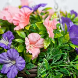 Primrose Pair of Large Artificial Petunia Flowers Rattan Hanging Basket Decoration Purple & Pink 30cm in Green - thumbnail 3