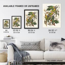 Artery8 Carolina Parakeet Parrot Audubon Nature Framed Wall Art Print in White - Size: A4 - thumbnail 3