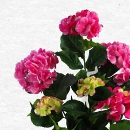 Leaf Artificial Hydrangea Flowering Plant Pink - thumbnail 2