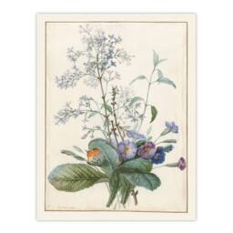 Artery8 Pierre Joseph Redoute Framed Wall Art Bouquet of Flowers with Insects in White - Size: A4 - thumbnail 3