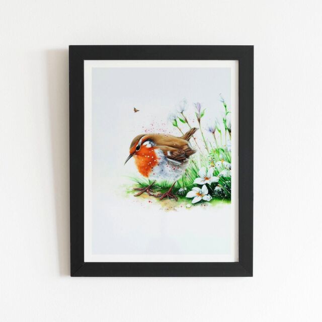 "Warren Reed - Designer Robin & Daisies Watercolour Framed Art Print in Black - Size: W12"" x H16""" - image 1