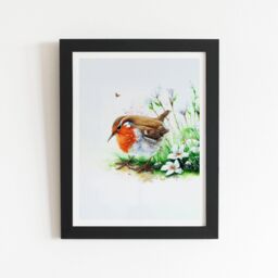 "Warren Reed - Designer Robin & Daisies Watercolour Framed Art Print in Black - Size: W12"" x H16""" - thumbnail 1