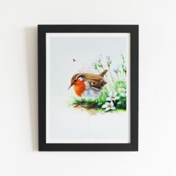 "Warren Reed - Designer Robin & Daisies Watercolour Framed Art Print in Black - Size: W12"" x H16""" - thumbnail 2