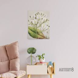 "Artery8 New Zealand Brachyglottis Hectorii Daisies Featon Canvas Art Print in Beige - Size: W12"" x H16""" - thumbnail 3