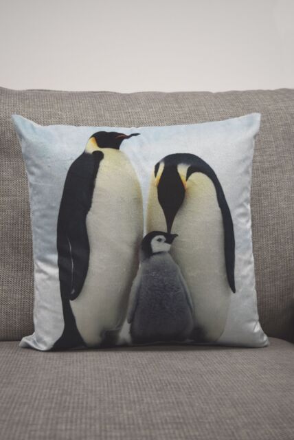 Rapport Home Penguins Cushion Cover Multi (43x43) - Size: 43 cm x 43 cm