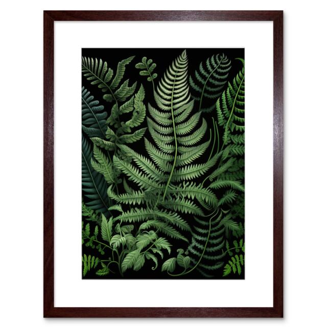 "Artery8 Wall Art Print Fern Fronds Ernst Haeckel Style Artwork Framed 9X7 Inch in Brown - Size: W7"" x H9""" - image 1