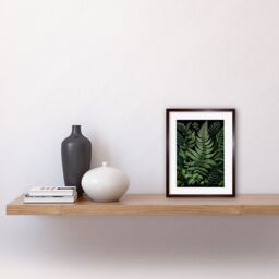 "Artery8 Wall Art Print Fern Fronds Ernst Haeckel Style Artwork Framed 9X7 Inch in Brown - Size: W7"" x H9""" - thumbnail 2