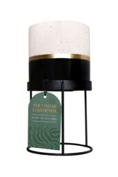 Portico Designs Ltd The Urban Gardener Set of 3 Bud Vases & Small Ceramic Plant Pot with Stand - thumbnail 4