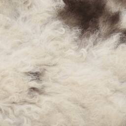 Berkfield Home Sheep Leather Mixed Colour 70x100 cm