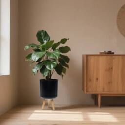 simpa Urban 12L Round Plastic Planter with Wooden Legs in Black - thumbnail 2