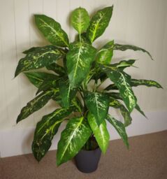 Leaf Artificial Tree Plant Fox Aglaonema Tree Plant Silver Metal Planter in Green - thumbnail 2