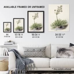 "Artery8 New Zealand Wild Spaniard Flower Featon Wall Art Poster Print in Beige - Size: W18"" x H24""" - thumbnail 3