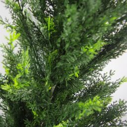 Leaf 120cm UV Artificial Cedar Cypress Topiary UV Resistant in Green - thumbnail 3