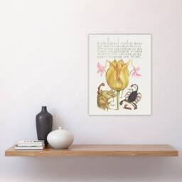 "Artery8 Larkspurs Tulip & Scorpion Calligraphy Wall Art Poster Print in White - Size: W12"" x H16""" - thumbnail 4
