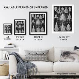 "Artery8 Marine Microorganisms Haeckel Botanical Wall Art Print Poster in Black - Size: W12"" x H16""" - thumbnail 3