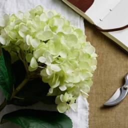 Lemon Pavilion Furniture and Decor Artificial Oversized Hydrangea - Plastic - L25 x W25 x H73 cm - Green - thumbnail 2