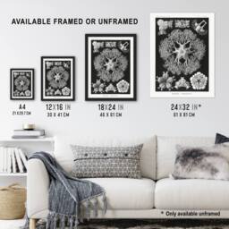 "Artery8 Ophiodea Brittle Stars Haeckel Botanical Framed Wall Art Print in Black - Size: W12"" x H16""" - thumbnail 3