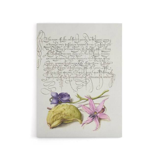 "Artery8 Violet Blooms & Gourd Calligraphy Canvas Wall Art Print in White - Size: W12"" x H16""" - image 1