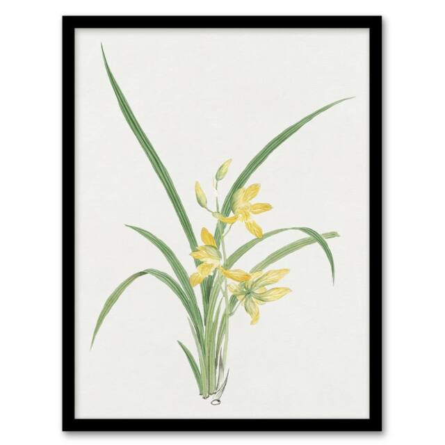 "Artery8 Yellow Lilies Framed Wall Art Print Vintage Japanese Botanical - Size: W12"" x H16""" - image 1