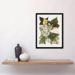Artery8 Various Ivy Leaves Watercolor Painting Hibberd Framed Wall Art Print in Green - Size: A4 - thumbnail 2