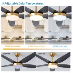 Garwarm 132cm 5 - Blade Reversible Ceiling Fan With LED Light & Remote Control in Black - thumbnail 8
