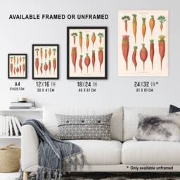 "Artery8 Mangold Wurzels Field Beet Ernst Benary Wall Art Poster Print in White - Size: W12"" x H16""" - thumbnail 3