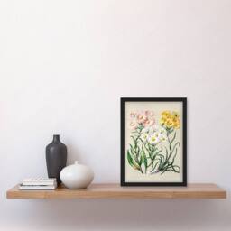 Artery8 Sarah Featon Framed Wall Art Print New Zealand Snow Groundsel Flowers in Beige - Size: A4 - thumbnail 2