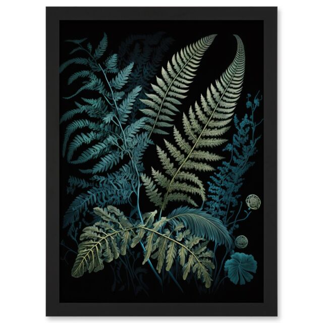 Artery8 Ernst Haeckel Style Leaf Illustration Fern Fronds Artwork Framed Wall Art Print A4 in Black - image 1