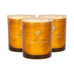Nicola Spring 130g Sandalwood & Jasmine Soy Candles - Pack of 3 - Sweet Creamy Glass in Orange